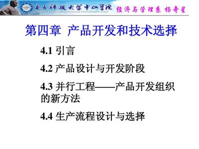 產(chǎn)品開發(fā)與技術(shù)選擇 技術(shù)開發(fā)的策略與實(shí)踐